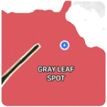 Disease Map