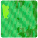 Emergence Map